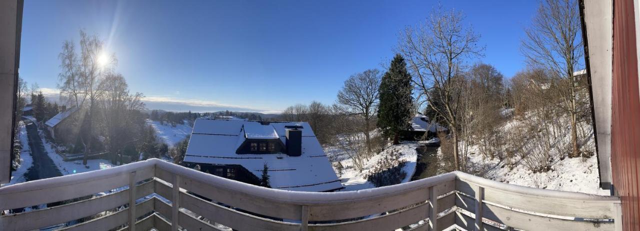 Appartement Haus Harzlich à Braunlage Extérieur photo